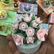Mit Lego Jiaqi China Mini Sukkulente Topfbaubausteine kompatibel. Toy Girl Serie Eternal Flower Teacher's Day Liebhaber XJ-10975 (b) Ju Huangyu