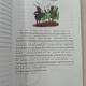 El libro de la línea de fábulas de EAESOP con símbolos fonéticos 88 artículos, comparación bilingüe china e inglesa, con patrones de colores, serie de símbolos fonéticos, iluminación inglesa, materiales de lectura clásicos en inglés para niños, no admiten la lectura de clics, escanee el código para escuchar el audio, algunos videos, Harry Potter y la piedra filosofera, con la piedra fonética con símbolos fonéticos, chinos e inglés, 123499999999999