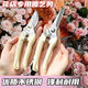 Yanran gardening scissors, garden pruning shears, potted plant pruning artifacts, floral pruning shears, household greening grafting flower shop, floral pruning pliers