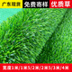 Liangxiang Simulated Lawn Carpet Plastic Artificial Green Fake Turf Kindergarten Balcony Outdoor Padding Courtyard Engineering Fence 2mx0.5m Spring Grass 2cm Encrypted Style