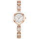 Colevkie Women's Day Geburtstagsgeschenk für Mädchen, um ihren Freundinnen, Bestie, Mutter, Freundin praktisches Gefühl 9215 Silberschale, weißer Diamant [ + Geschenkbox -Set + Armband +