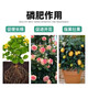 Yuntianhua Phosphate Fertilizer Flower Superphosphate Flower Fertilizer Vegetable Fertilizer Root-Strengthening Fertilizer Soil Fertilizer Chemical Fertilizer Vegetable Agricultural Fertilizer Phosphate Fertilizer Granules 20Jin Jin is equal to 0.5kg divided into 4 packages