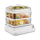 Royalstar electric steamer RS-ZG833G multi-function household electric steamer