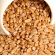 Wheat grains with skin 5Jin Jin is equal to 0.5kg Edible flour grinding medicine to induce maltose Germinated grass seeds Juicing and brewing Cat grass 2025 new wheat 2Jin Jin is equal to 0.5kg (can be germinated and ground)