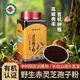 General Fat Donglai gleicher Stil Changbaishan Ganoderma-Sporenpulver 500 g, authentisches Ganoderma lucidum-Sporenpulver, organischer, selenreicher erster Weg, authentisches Yuanlinxianzhi-Marken-Ganoderma-Sporenpulver, 250 g/Pulver