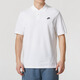 耐克（NIKE）商务POLO衫24年翻领短袖男宽松透气休闲T恤 灰色/FN3895-063  2XL 180-190斤