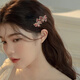 Xiang Wan Hairpin Hairpin Double Butterfly Spring Clip Women's Rhinestone Hairpin Back of the Head Top Clip Horizontal Clip Ponytail Clip Straight Clip