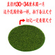 Simulated round grass floor mat, green turf, micro landscape, bonsai moss, desktop sandbox model, decorative green lawn, grass green powder bag 50g (excluding glue)