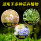 Flower nutrition soil flower mud for flower cultivation soil orchid soil planting soil coconut brick rose rose gardenia special fertilizer nutrient soil 5Jin Jin equals 0.5 kg special for flowers