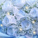 
Flower express flower gift broken ice blue rose bouquet birthday gift for lover nationwide delivery on the same day 11 broken ice blue rose dy679
