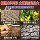 Loosening essence, soil activator, loosening and improving soil compaction, no deep plowing, black water fertilizer, soil plowing and loosening artifact, 5 bags, double the output, vigorous root fertilizer and seedlings