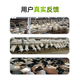 Yingmaier breeding ewe premix lambing multi-pregnancy lactation ewe feed milk multi-Yingmaier premix ewe premix 20kg (lamb Duowang)