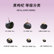
Selected black wolfberry experience pack rich in anthocyanins and free washing Qinghai Qaidam wolfberry small packaging tonic and health black wolfberry medium fruit 10g