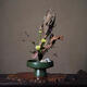 Yu Senyi picks up the littered old antique old high-legged vase old items new Chinese tea room ornaments literati flower arrangement utensil Japanese style emerald green number 1278 lonely flower utensil medium