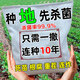 中谷农康(ZGNK)土壤杀菌剂农用土传病害专用消毒杀菌土壤抗重茬死苗烂根腐烂菌剂 土壤病菌清【8袋】种植大户首选
