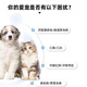 Paiwei Paiwei metronidazole tablets for cats with stomatitis, pet trichomoniasis, dog deworming, gum oral anti-inflammatory, ulcer redness and swelling medicine 6 tablets/1 plate without box SF Express