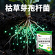 Nanhua Qianmu Bacillus subtilis agricultural microbial agent to prevent root rot water-soluble fertilizer to improve soil rooting feed addition Bacillus subtilis 1000g*1 bag