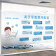 Caiyu Dental Clinic Dental Knowledge Decoration Anti-Peeling Frosted Stickers Hospital Dental Glue-free Electrostatic Glass Stickers t1049B Frosted Electrostatic Film, Fixed Size 120cm*80cm