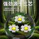One cent strong light mini flashlight rechargeable LED three-core field burst bright durable light portable camping light five-speed fast charging black 1 pc