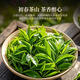 Zhongling Phoenix Dantong Duck Shit 2025 Spring New Tea Oolong Class 1 Chaozhou Gaoshan Self-drinking Gift 500g Gift Box Pack
