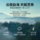 勐昌號茶叶云南普洱茶熟茶5年熟普小方片175g