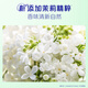 飘柔洗发水500g 滋润去屑男女士洗发露易清洗绵密泡沫【临期清仓】 滋润去屑500g*2瓶