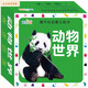 Shantoulin Village Children's Animal Cognitive Card Teaching Aids Aids Pictures et identifier les choses Personnages et modèles Livres raccroche bébé