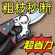 German imported steel shears, tree shears, fruit branches, household branch shears, flowers and trees, grape pruning pick ax pick ax grape shears, ultra-thin extra small u shears