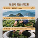 Zhongling Phoenix Dantong Duck Shit 2025 Spring New Tea Oolong Class 1 Chaozhou Gaoshan Self-drinking Gift 500g Gift Box Pack