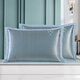 Moos Sommereis Seidenkissen Fall einteilige High-End-Haushaltsmatte Cool Kissen Kernkoffer 4874 cm 48 cm Eisrebe 679 Kohl einteilige Kissenhülle Waschblech Style (Quilt Cover 150*200 cm)