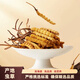 Kangsils neue getrocknete Cordyceps authentisch getrocknete Cordyceps Geschenkbox, um die Auswahlqualität von Cordyceps für Älteste zu nähren und zu nähren.