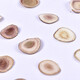 
Deer antler slices Changbaishan deer antler pruning slices Deer antler slices Dry slices for men soaking wine and making soup with water Deer antler slices 10g