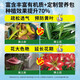 Amaryllis special soil bulb seed ball nutrient soil special fertilizer flower cultivation soil household organic soil Amaryllis special soil 10 liters