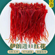 Peking Tongrentang Saffron Geschenkbox Authentisches offizielles Flaggschiff -Laden Tibet, eingeweicht in Wassereffekt