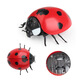 
Original direct supply, novel and unique remote control electric insect toys, electric snails and rats, pranks, 9923 bee, 129G, weight 0.29kg