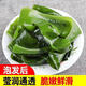 盐渍裙带菜 鲜海带非干货海带嫩苗儿童海菜海白菜海藻菜凉拌 盐渍裙带菜嫩叶500g