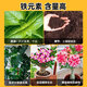 Intelligent green ferrous sulfate flower fertilizer acid-loving plant gardenia camellia azalea azalea osmanthus water-soluble fertilizer anti-yellow leaf household fertilizer ferrous sulfate barrel 5Jin Jin equals 0.5 kg