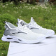 Changxiang Huili mesh men's shoes 2025 new summer breathable hollow thin large mesh shoes lightweight soft sole casual running sports shoes FH-882-DD white and blue 43