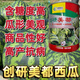 Store hot selling Chuangyan Meidu watermelon seeds with thin skin and few seeds, large fruit Kirin Sweet King seeds early maturing canned Chuangyan Meidu Kirin watermelon seeds base original delivery 1 can of about 800 seeds directly supplied from the base