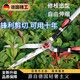 RSRDDY German selected gardening scissors, fruit branch garden lawn pruning shears, Japanese landscaping tools, flagship double-edged straight-grained blade telescopic model