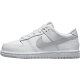耐克（NIKE）Dunk Low GS女子大童耐磨低帮板鞋DH9756-102 DH9756-002 28
