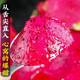 Authentic Guangxi Jindu No. 1 dragon fruit, freshly picked, straight and super sweet, 2 pieces (single piece 200g-300g)