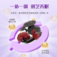仙芝楼芝宁胶囊 改善睡眠  破壁灵芝孢子粉胶囊灵芝提取物精华提取物 1盒 30g 【助睡眠】三芝精华