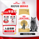 Royal Cat Food British Shorthair Adult Cat Food BS34 General Food Rich Hair and Strong Body Staple Food Grade General Food 1 Year Old and Over BS34 British Shorthair Adult Cat 2kg