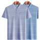 ZGA HaiLan Home The same summer middle-aged short-sleeved T-shirt for daddy wear thin Polo ice silk-9855 gray real pocket L 50/170