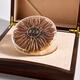 Guancai Rengui Cordyceps High-End-Geschenkbox Tonikum für Geschenke für Älteste neue getrocknete Cordyceps High-End-Nahrungsergänzungsmittel für ältere 2 Sticks/g 100 Gramm, insgesamt 200 Stöcke
