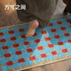 Budisi Middle Ages Bathroom Door Mat Thickened Water-Absorbent Foot Mat Bathroom Non-Slip Floor Mat Home Bedside Blanket 70*45CM