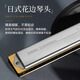 Tongbao Japan Tombo Tongbao 6624s harmonica 24 trous polyphonique c