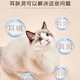 Erfuling English version, pet dogs and cats, ear mites, ear odor, ear itching, cat and dog ear drops, Erfuling, SF Express
