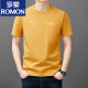 罗蒙（ROMON）男士短袖t恤夏季新款潮流棉简约圆领上衣休闲凉感体恤衫男T YS9929莲紫【带标】 均码 120【141-160斤】